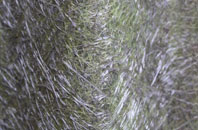 Bassingham fibreglass roof work